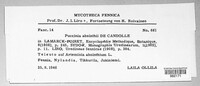Puccinia absinthii image